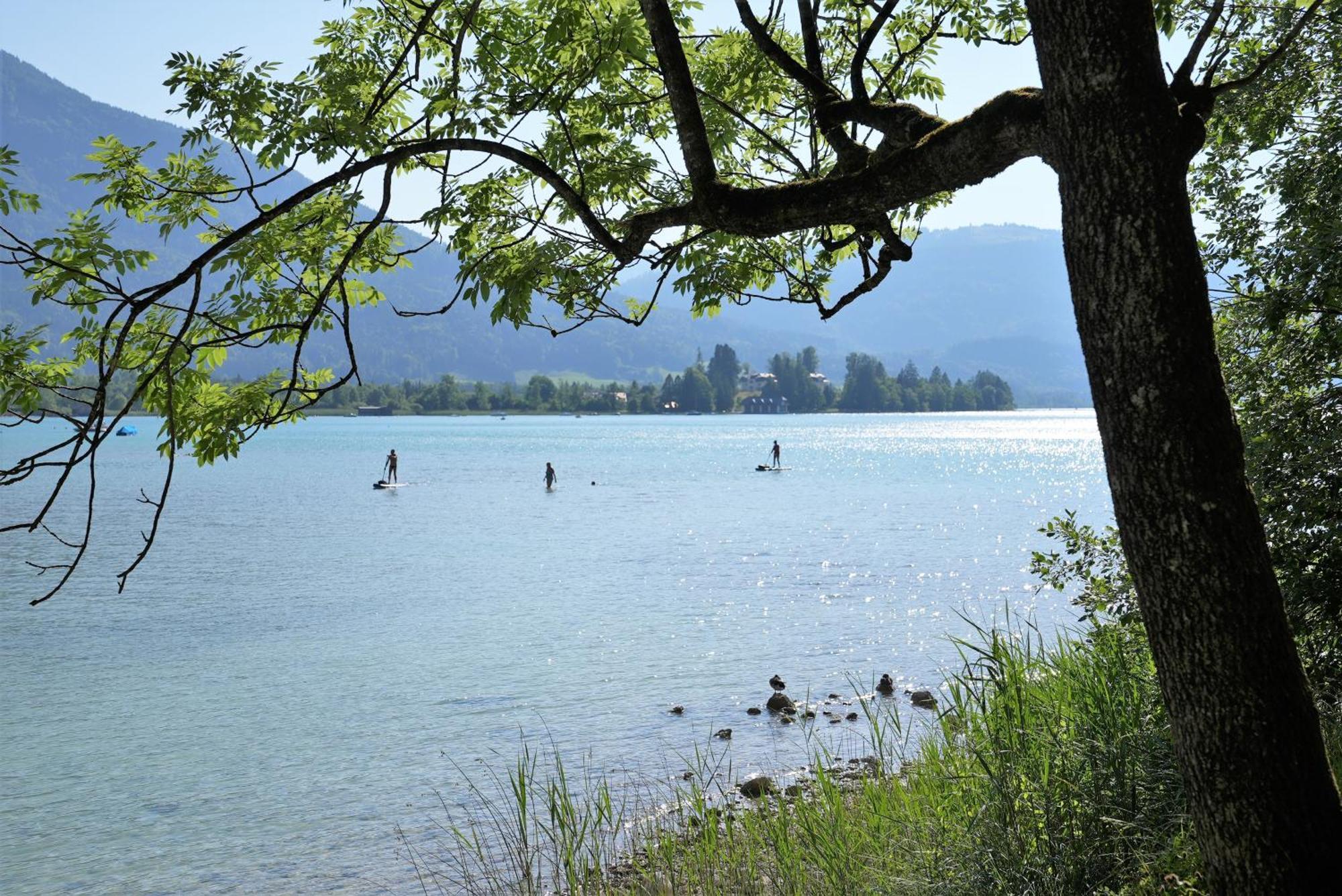 Bergblick 411 Am Wolfgangsee Strobl Ruang foto