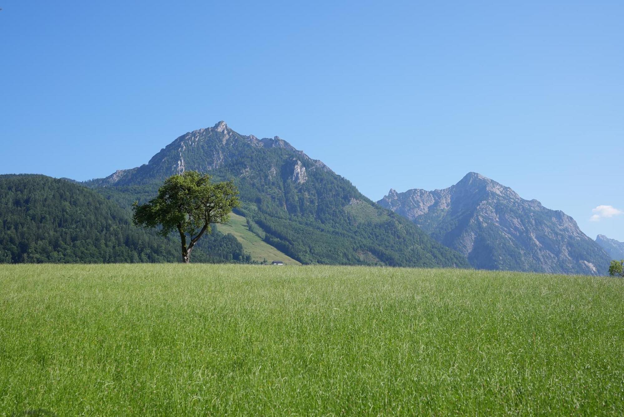 Bergblick 411 Am Wolfgangsee Strobl Ruang foto